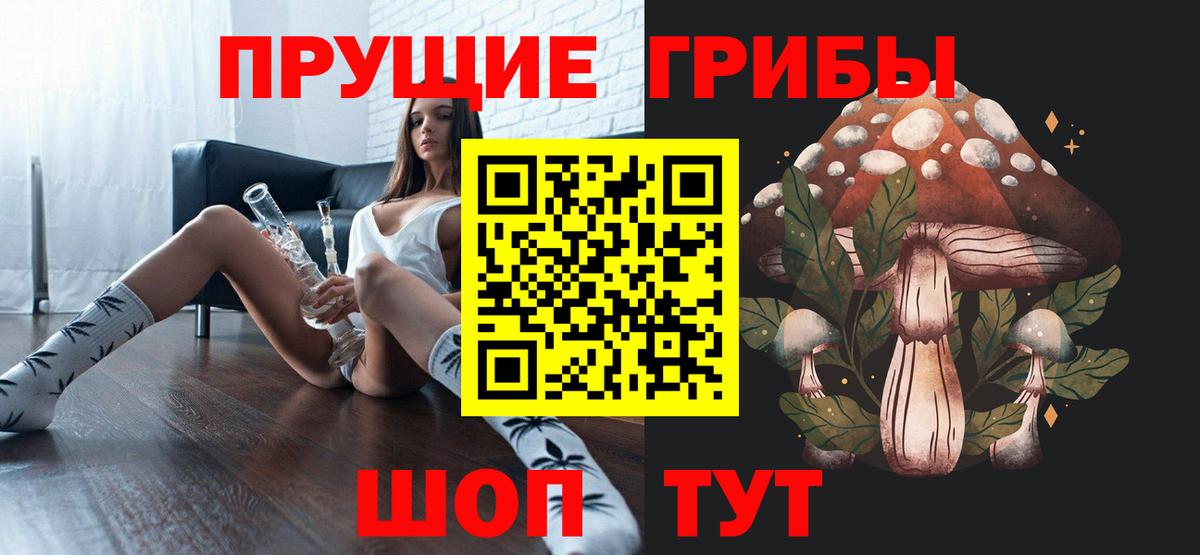 Псилоцибиновые грибы Psilocybine cubensis Унеча